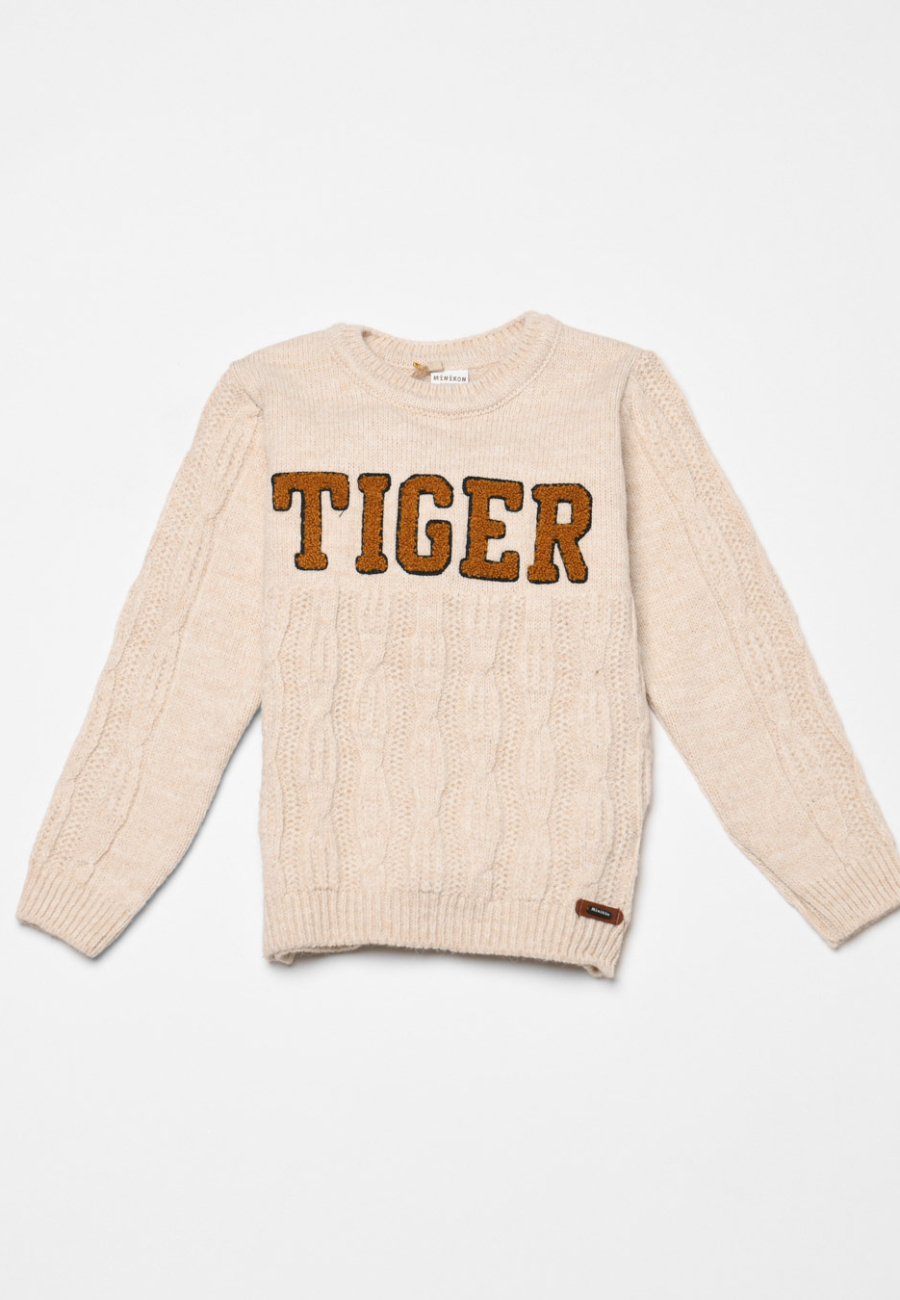 Купити Светр CARICA KIDS SV-11126-10 оптом